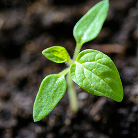 國揚永續 人才厚植